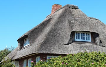thatch roofing Lee Moor